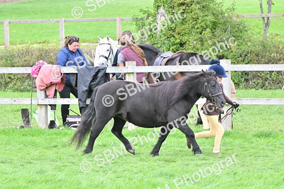 SBM_66797 - S41 - Junior Handler 8 Years & Under
