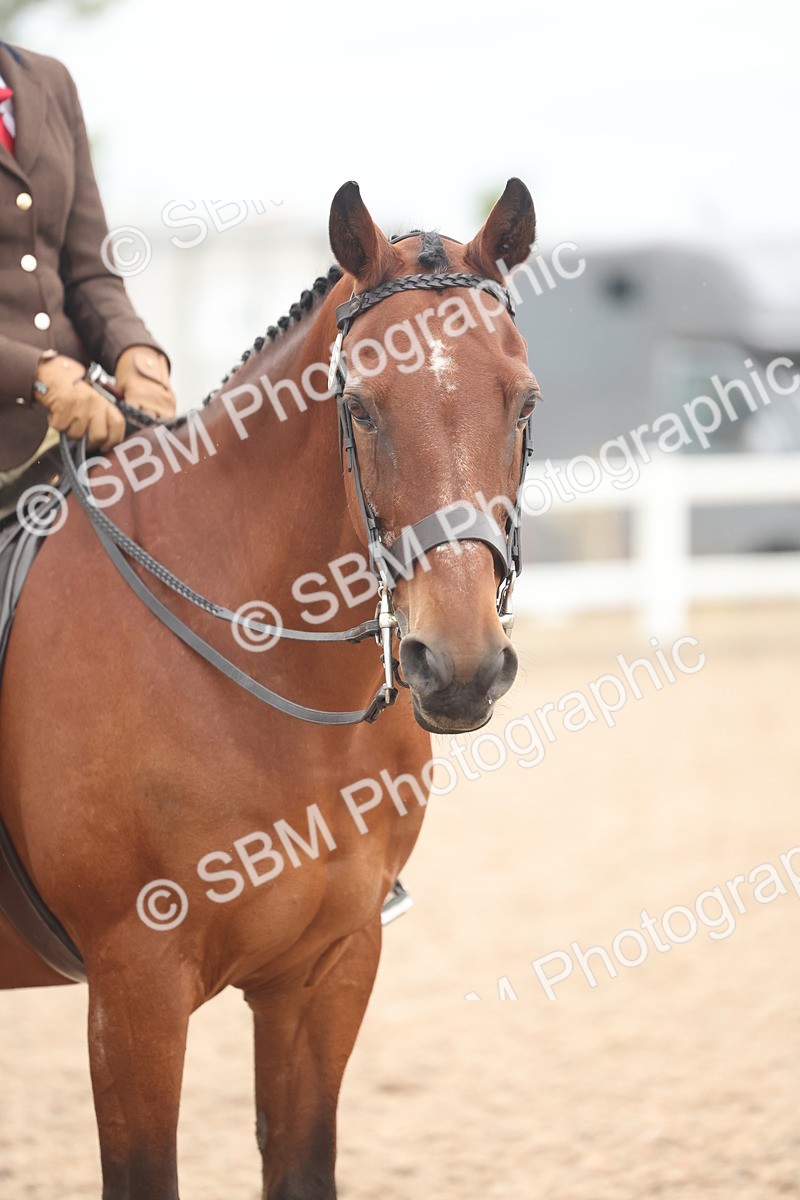 SBM_19174 - Class 316 - Best Pony-Rider Combination