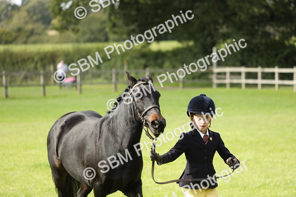 SBM_68581 - S40 - Junior Handler 9-12 Years