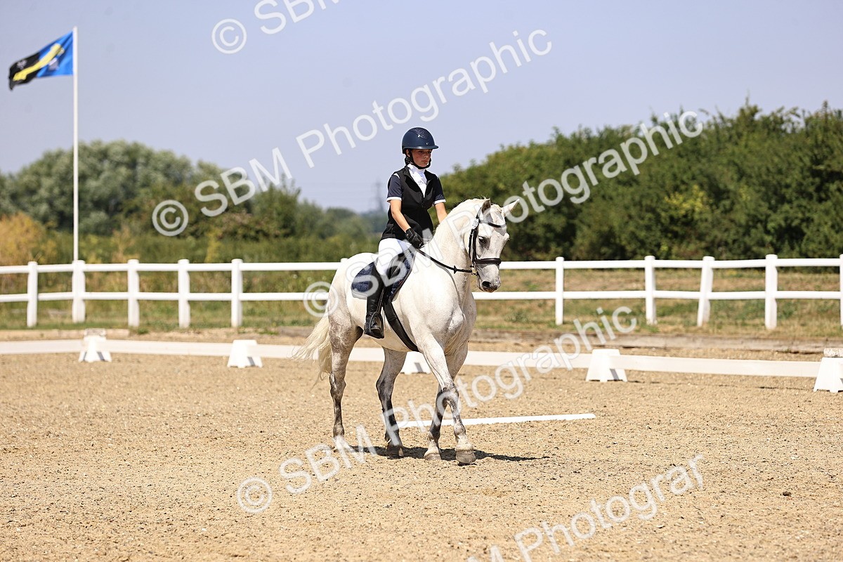 SBM_004064 - Intro 2