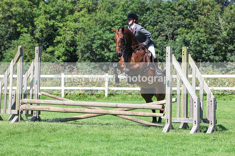 3E7A8296 - Class 4: Novice working Hunter