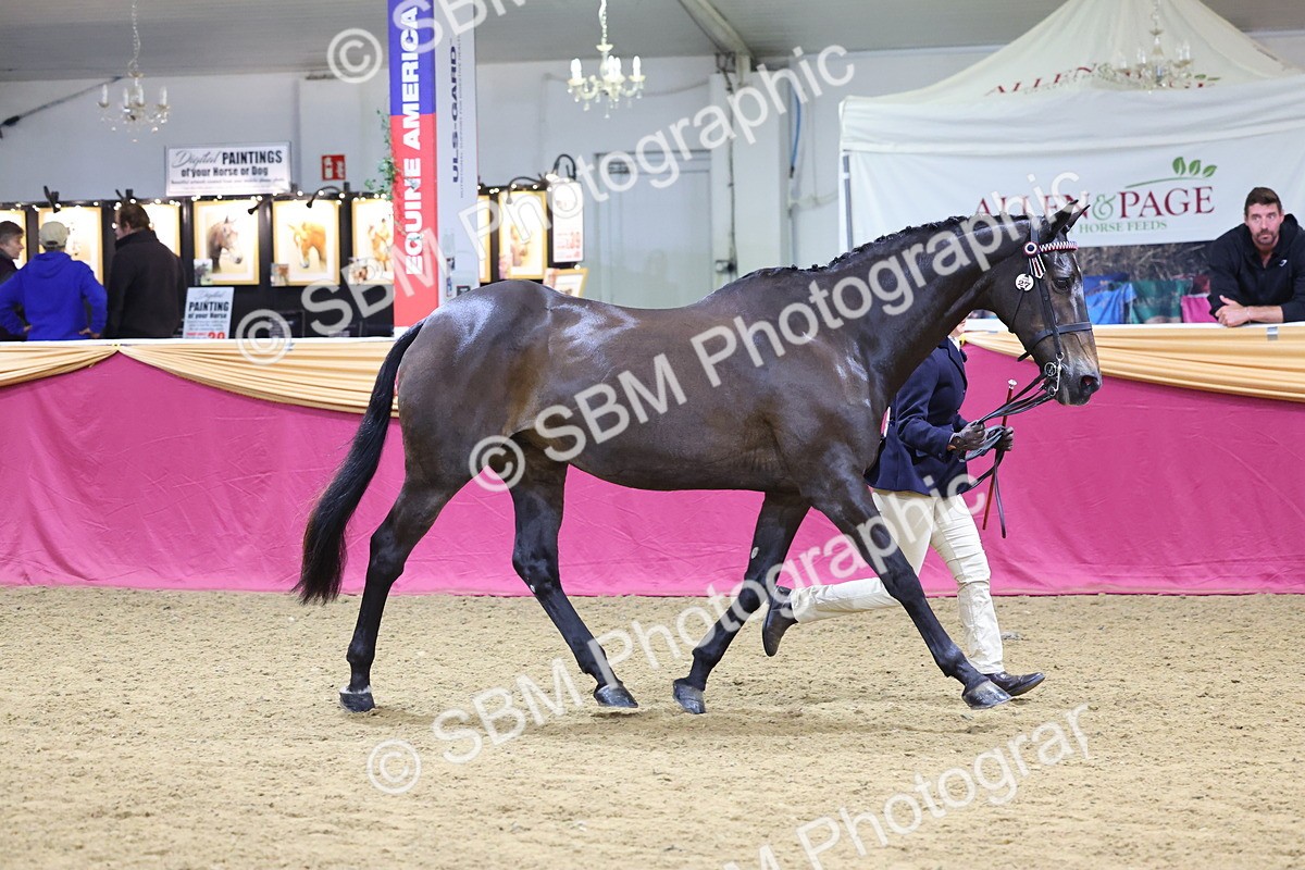 SBM_19607 - Class 901 - Supreme Final - IH Diamond