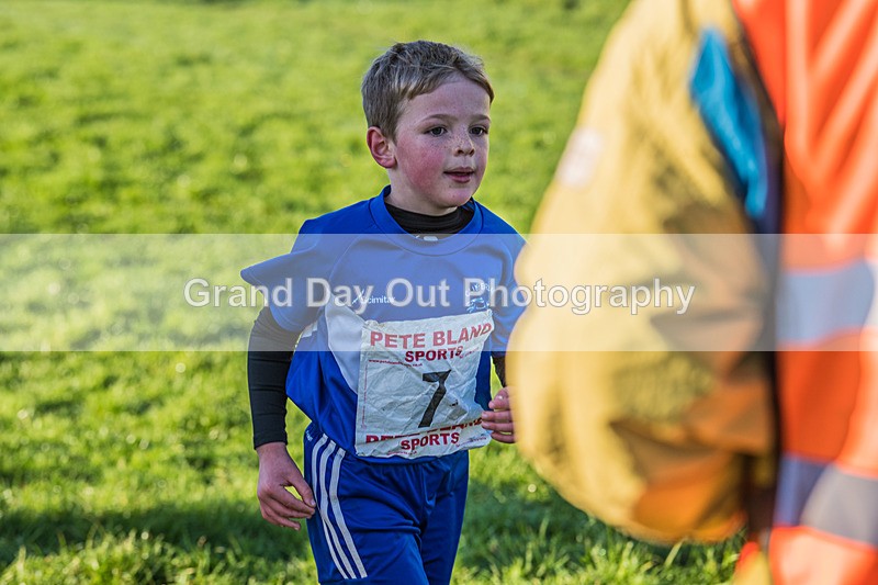 Workington XC-31 - Workington Cross Country Curwen Park, Saturday 3rd December 2022