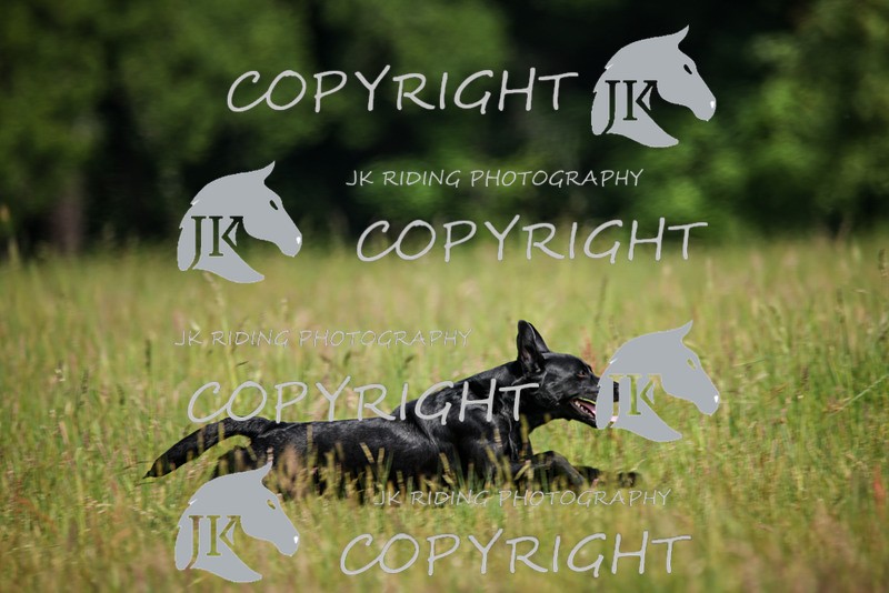 2R6A8079 - 18 Abbie