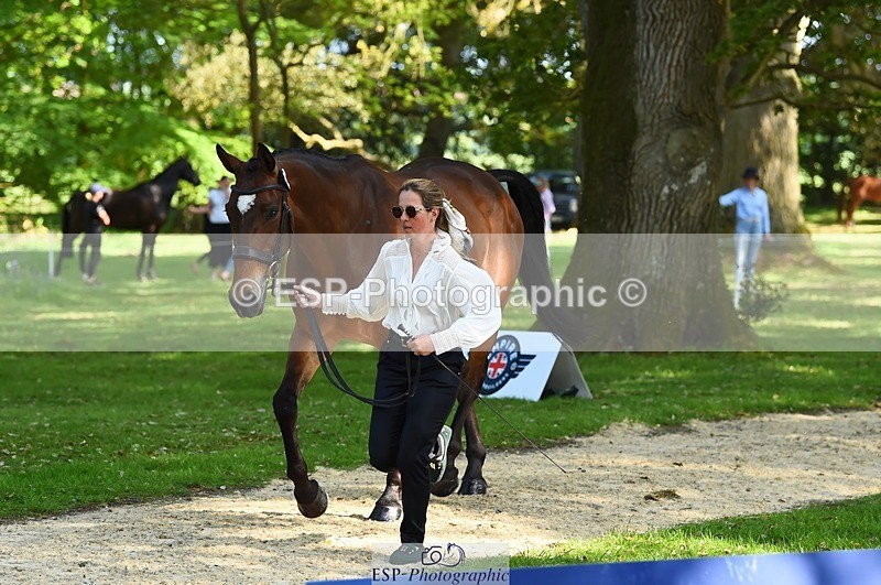 230524-164420-01060 - 132-OGUE_VERDI-Kitty_King-WEDTrotUp+DR