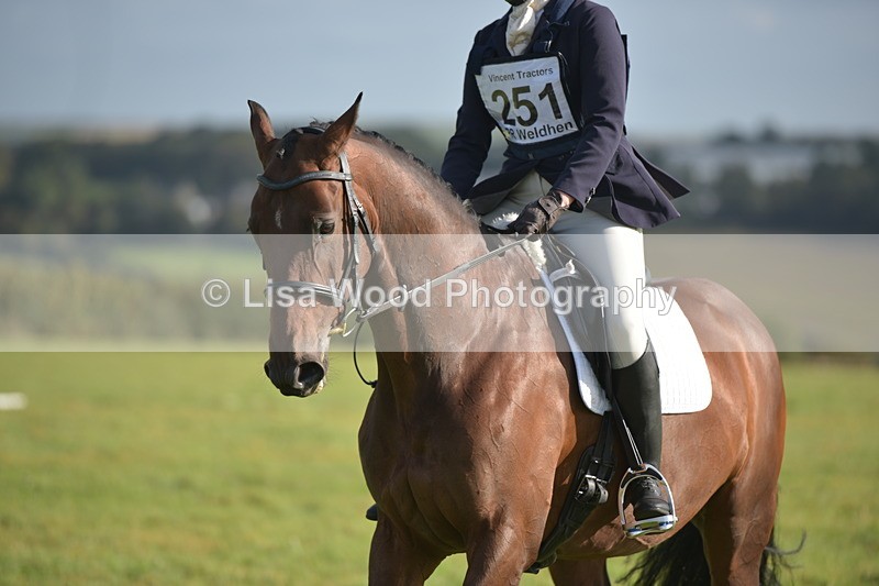RAY_7276 - Class 2B: Trekenning Open: Dressage