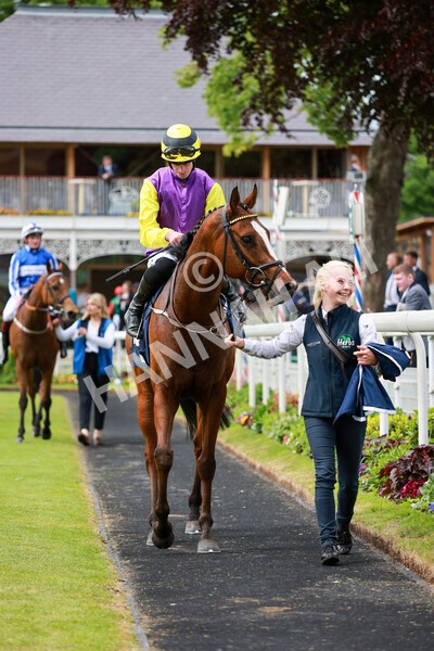 yr21052022r3-20 - Race 3: 3:30pm William Hill Best Odds Guaranteed Stakes