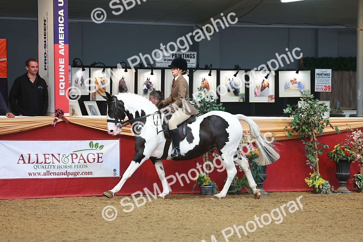 SBM_10594 - Class 103 - HOYS Veteran Qualifier - Ridden Pre Vet