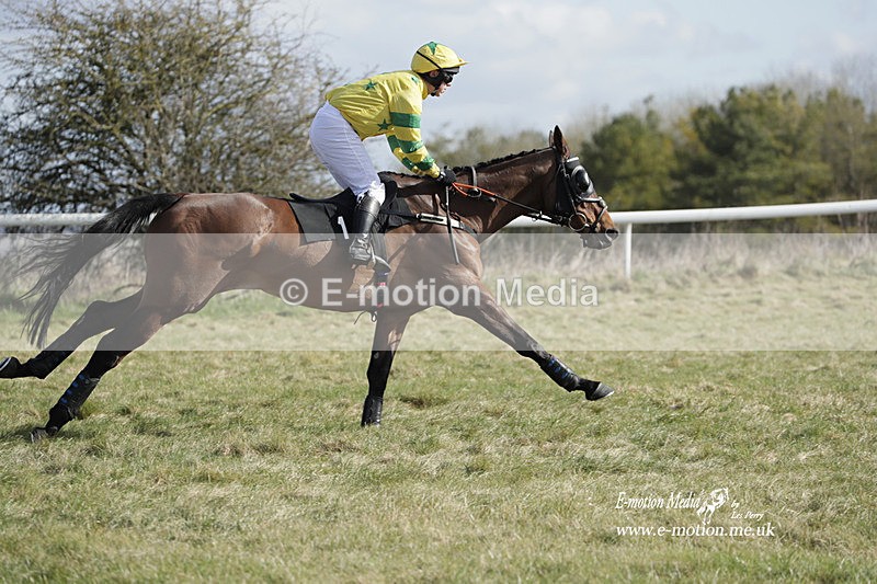 PtP 260223 286 - South & West Wilts Point-to-Point Larkhill 26/02/23