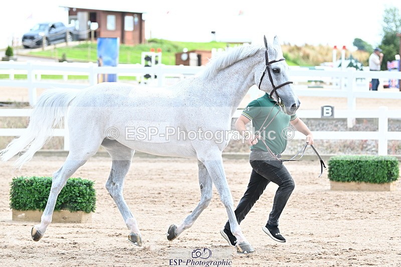 240717A-144056-02195 - Trot Up 2pm to 3pm - This folder is not in time order