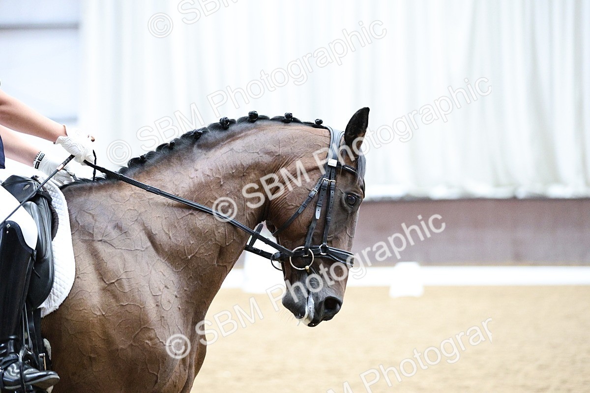 SBM_001618 - Class 7 - Elementary 5