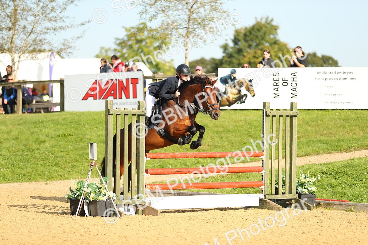 SBM_60296 - J41 - Grand Tour 95cm Championship