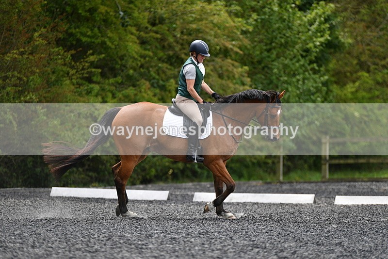 WJ5_0187 - Time 11:47 to 12:21