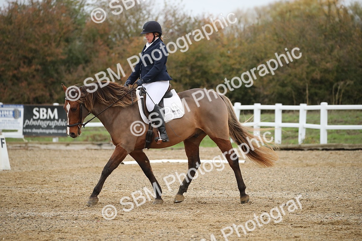 SBM_000498 - Intro 2