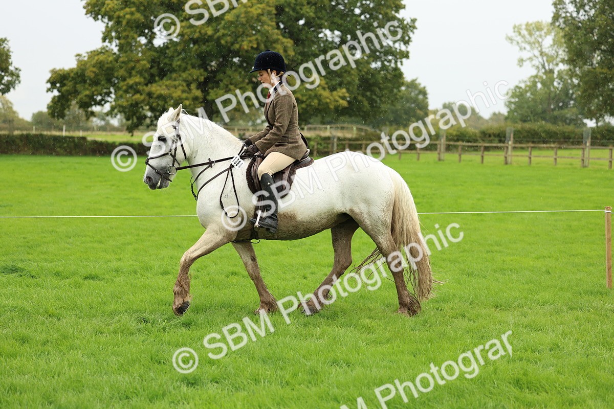 1I0A1471 - S32 - Mountain & Moorland Working Hunter Pony