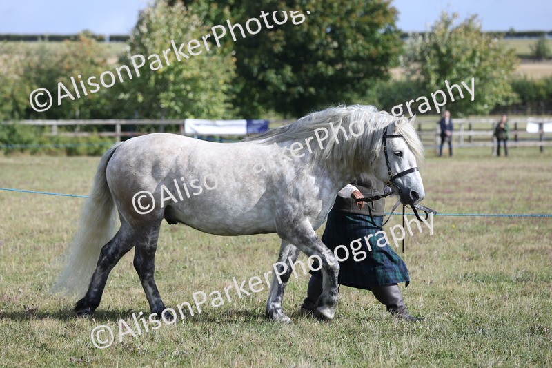 20250831-1296 - Class 21 - Inhand Open