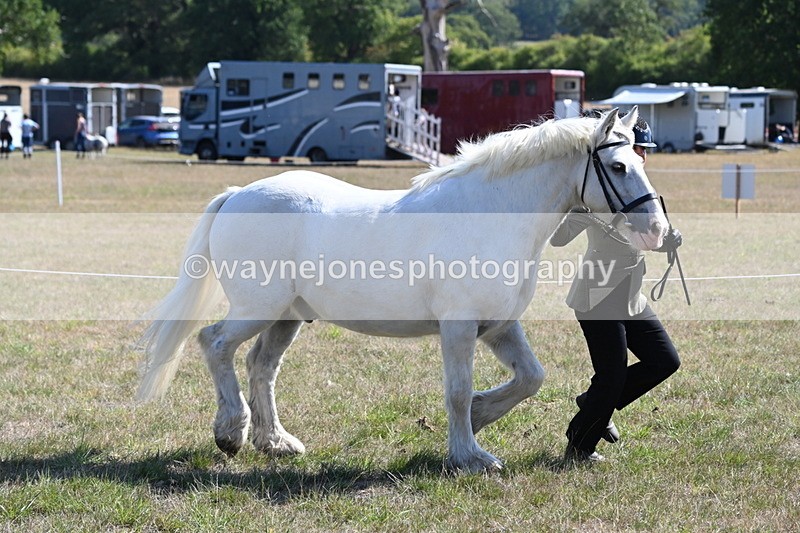 WJ6_4547 - Class 17 Mountain & Moorland