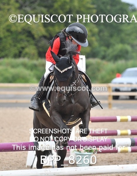 BPP_8260 - CLASS 13 SUN Pony BritiNovice / 0.80m Open