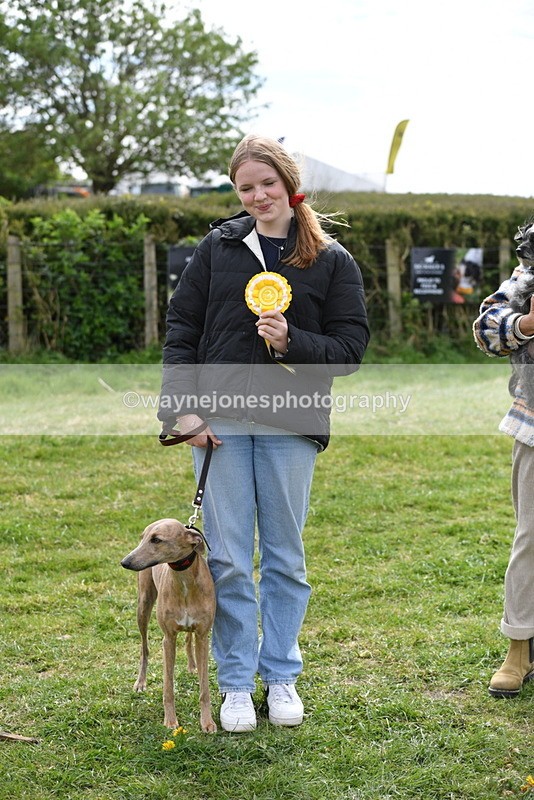 WJ5_9884 - Class 3 Most Handsome Dog