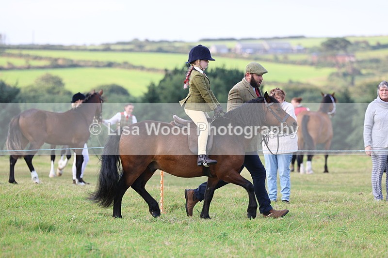 3E7A3539 - Class 2: Lead rein