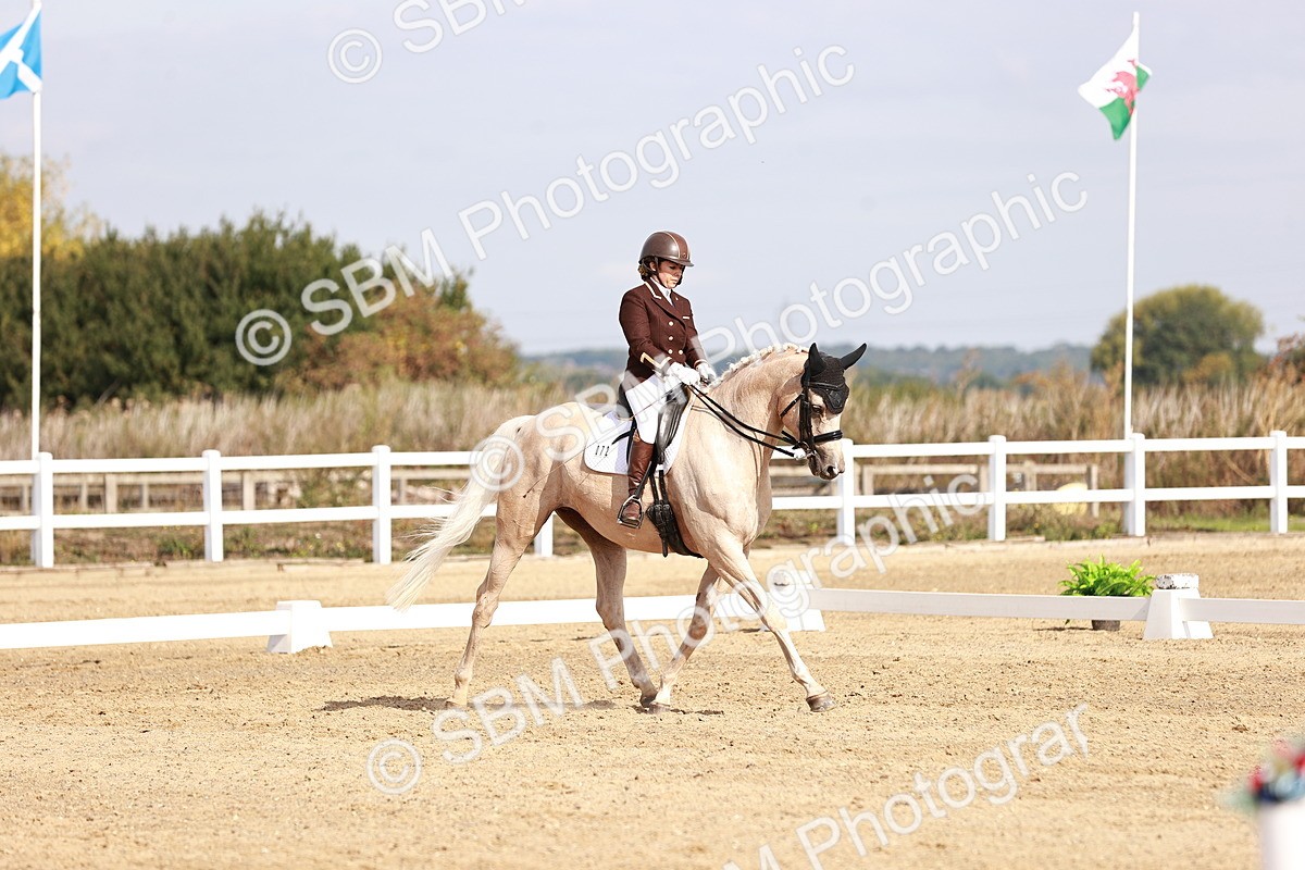 SBM_017013 - Class 10 - Medium 6