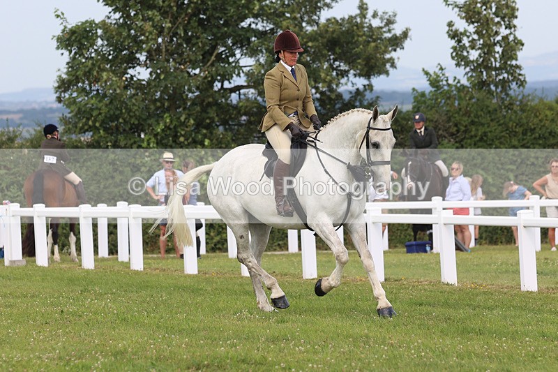 JPP_3837 - Class 23: Working Hunter 80cm