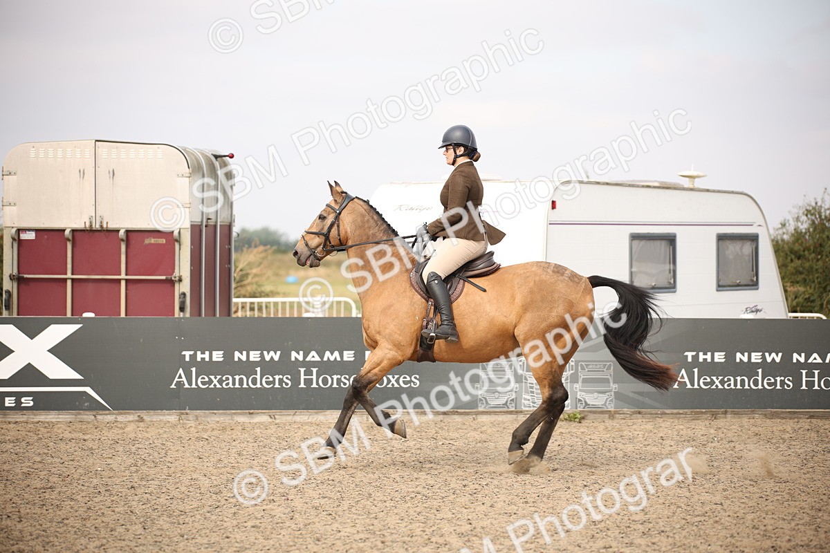 SBM_17106 - Class 409b - Working Veteran 80cm (20+)