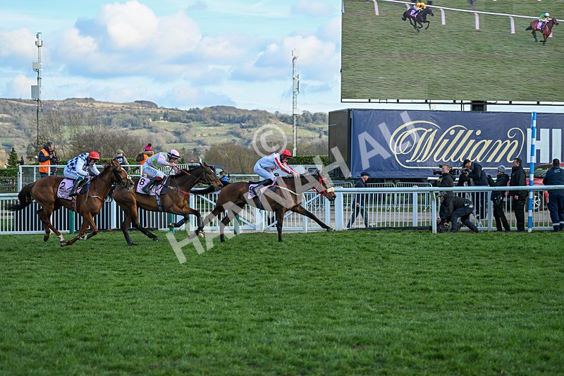 140325-The Real Whacker-WR-5657 - 14th March