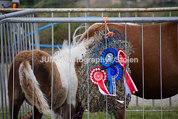DSC_0299 - Ring 1
