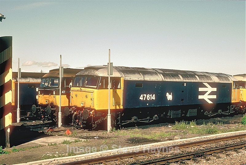 9th Aug 1987 - Inverness