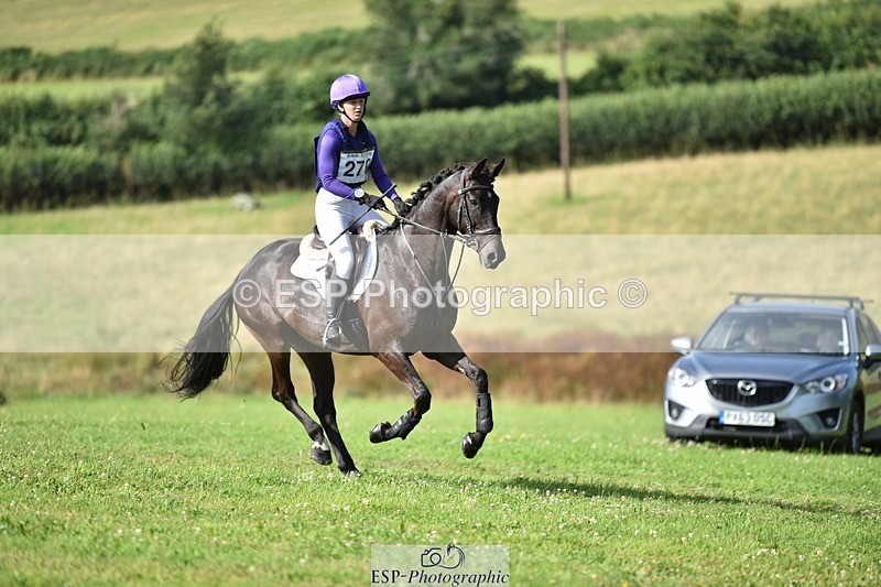 240803-164916-09370 - 270-Taggy_Forester-Bennett-BONZA_MOORTHANROYAL