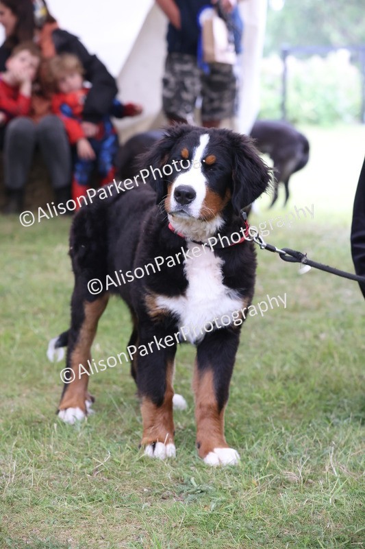 20250607-0268 - Class 6 - Child's Best Friend