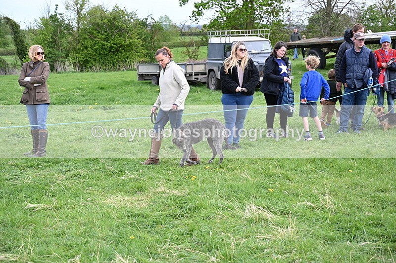 WJ6_8469 - Class 6 Best Rescue