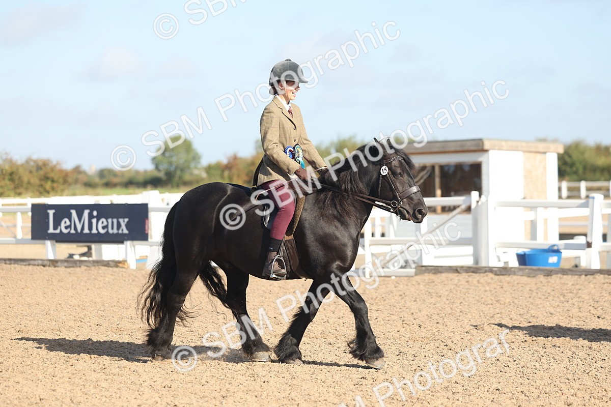 SBM_22263 - Class 802 - Ridden Groom Helpers Class