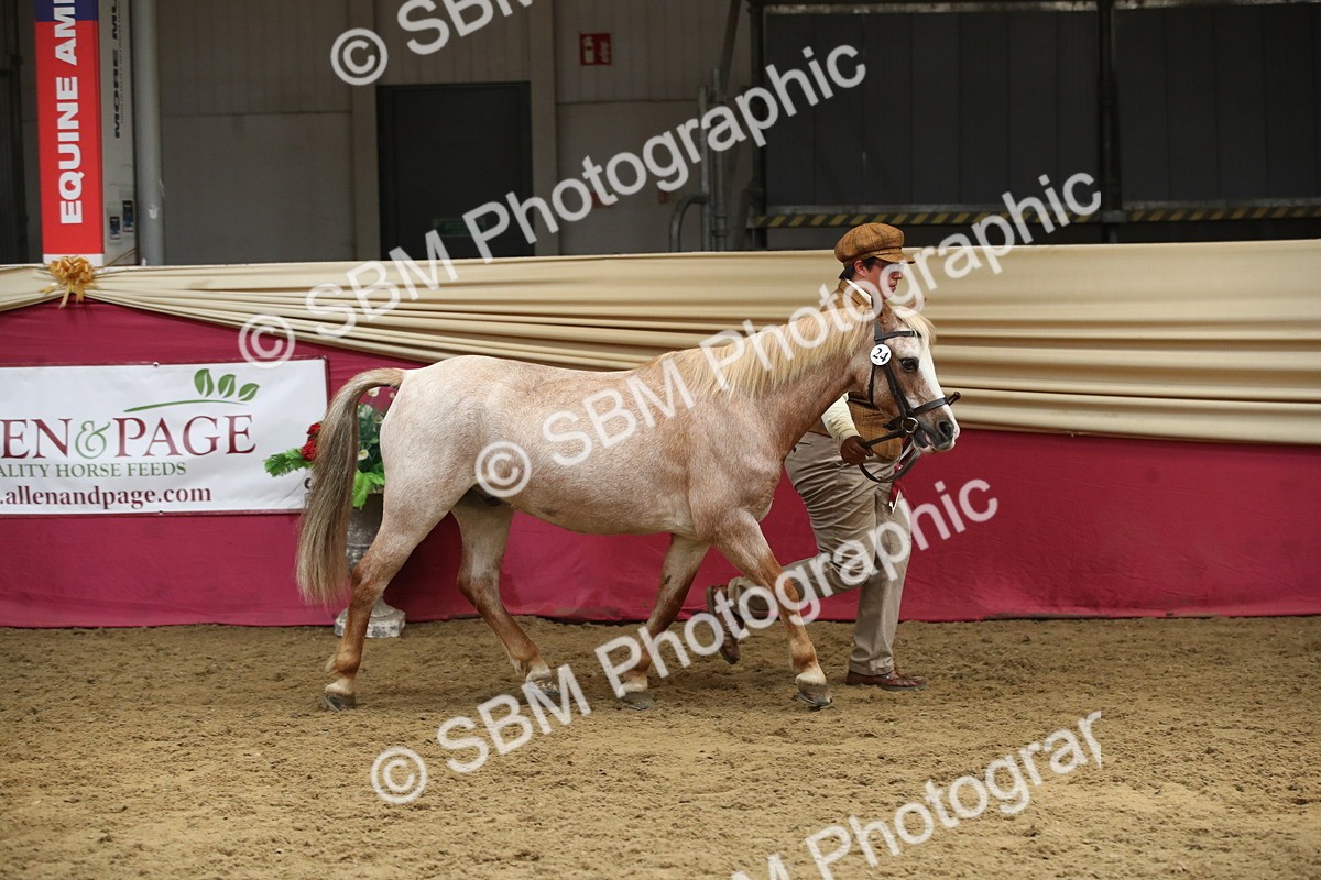 SBM_05466 - Class 8R - Regional IH Veteran