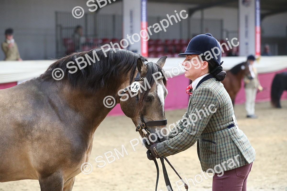 SBM_15317 - Class 501 M&M IH Supreme Final