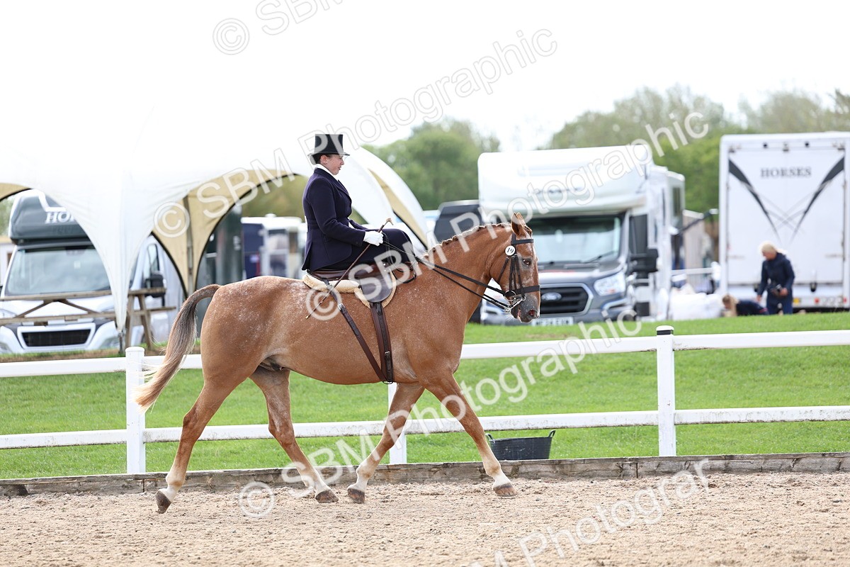 SBM_03185 - Class 22 - SSA Equitation (any age)