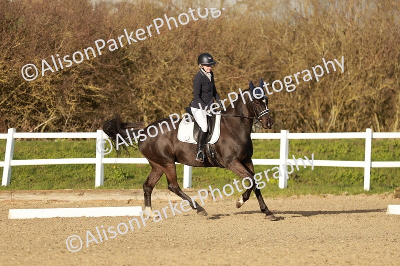 20260314-6334 - CT7 - Elementary 2