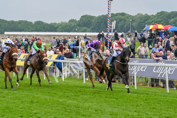 150524-Race 2-Aleezdancer-3832 - Race 2 2.45pm Churchill Tyres Handicap