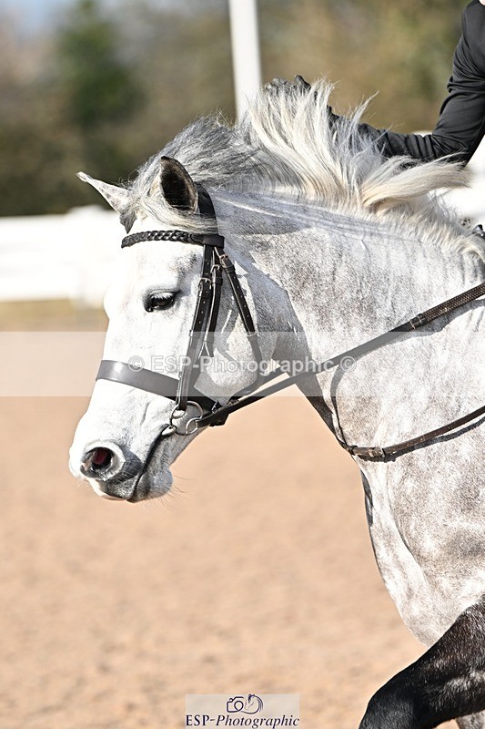 250308-093345-00898 - Cls 19-21 CR, Club and Schools 60cm