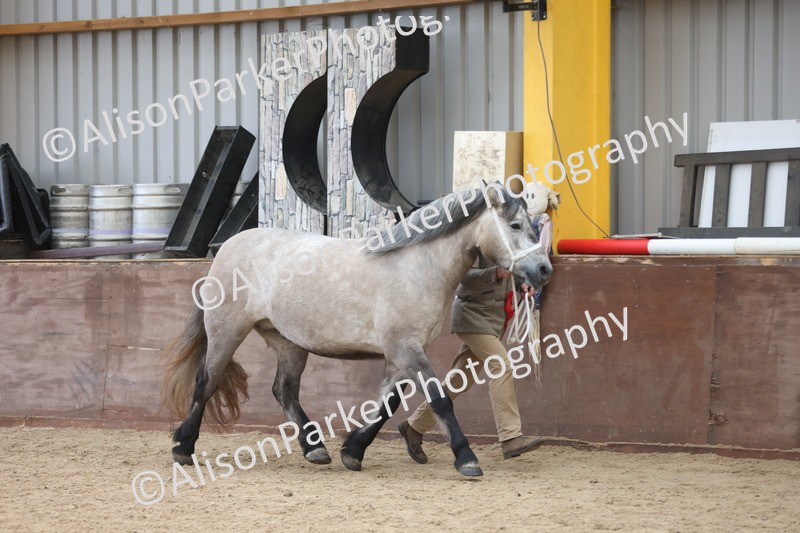 20251109-1133 - Championship