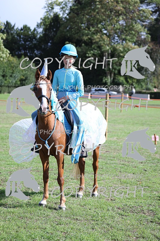 APP_4055 - Class 19 Fancy dress