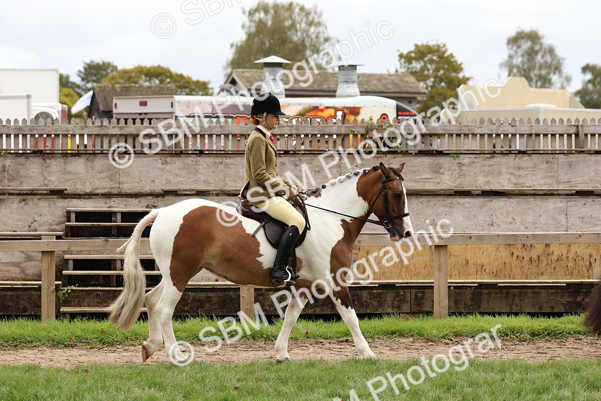 SBM_64373 - S58 - Coloured Pony Ridden