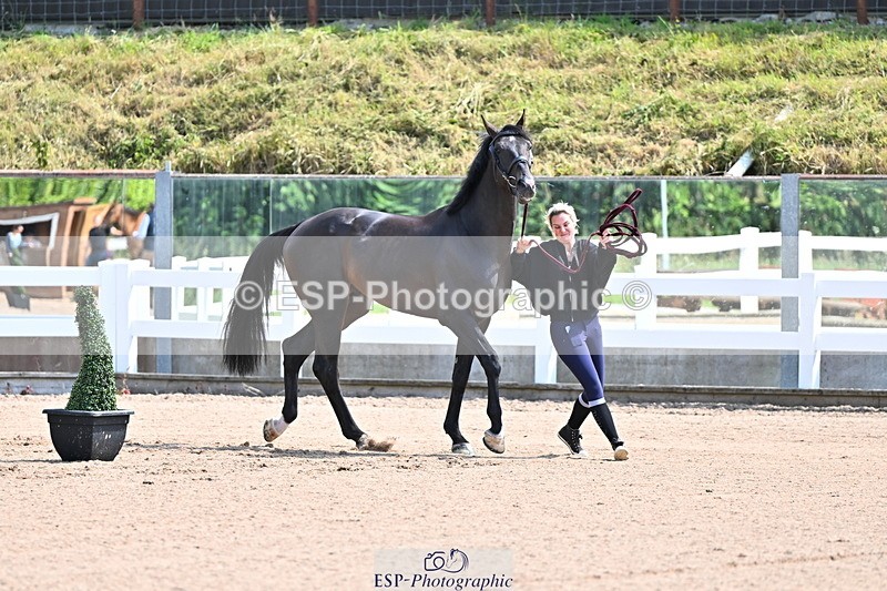 240718A-105237-00942 - Trot Up 11am to 12pm