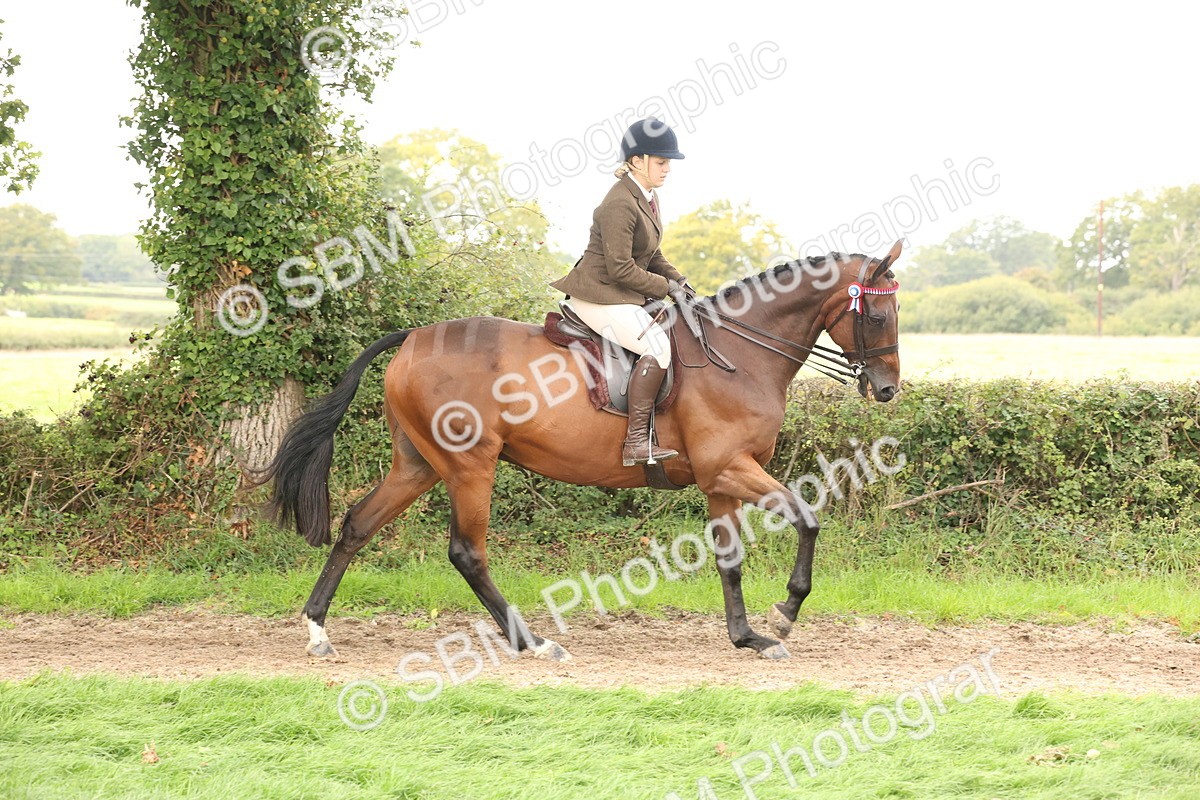 SBM_64188 - S65 - Riding Horse & Hack & Thoroughbred Ridden