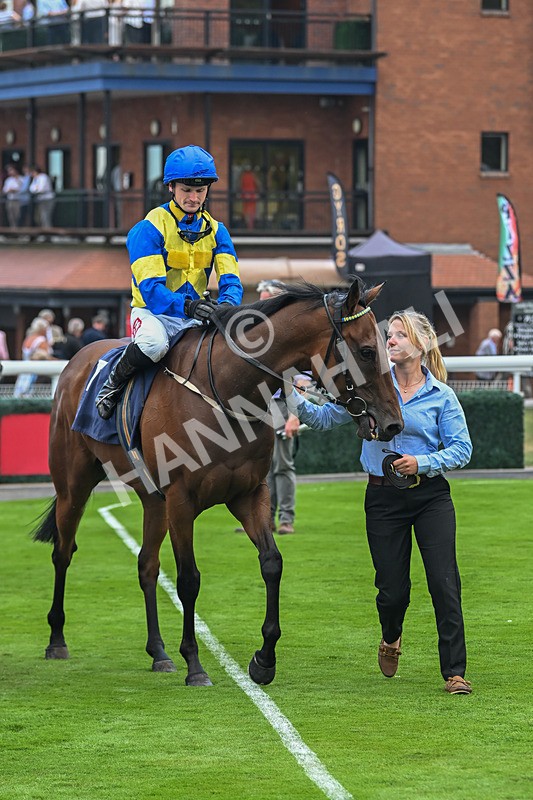 240825-Race 6-Dr Rio-3884 - Race 6