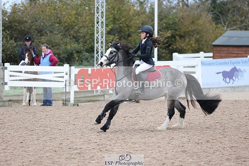 241116X-100548-00728 - Cls 08 Pony Winter Nov Champs