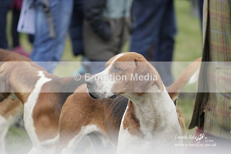 PtP 190323 500 - Oakley Hunt Point-to-Point Brafield-On-The-Green 19/03/23