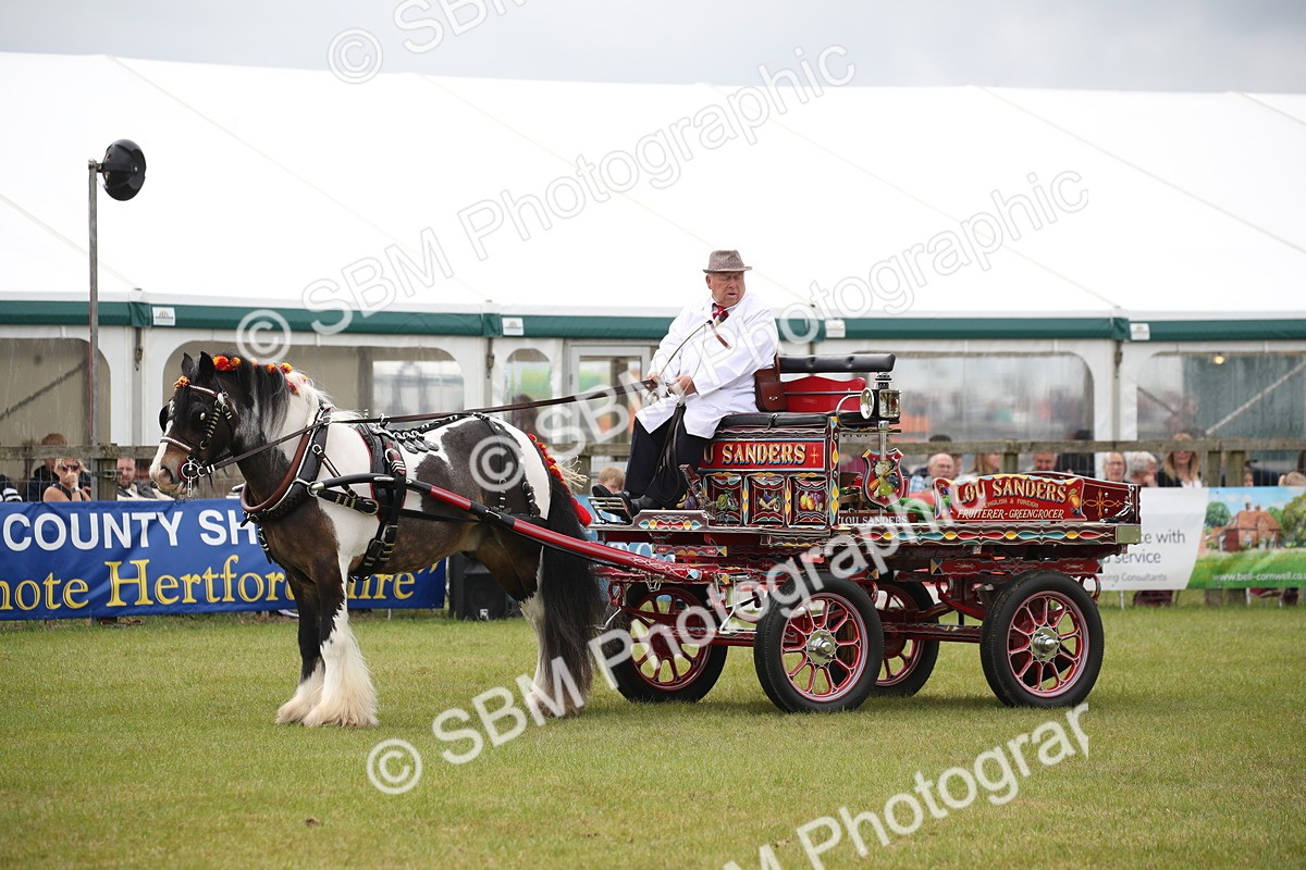 SBM_07048 - Class 16 - Light Trade