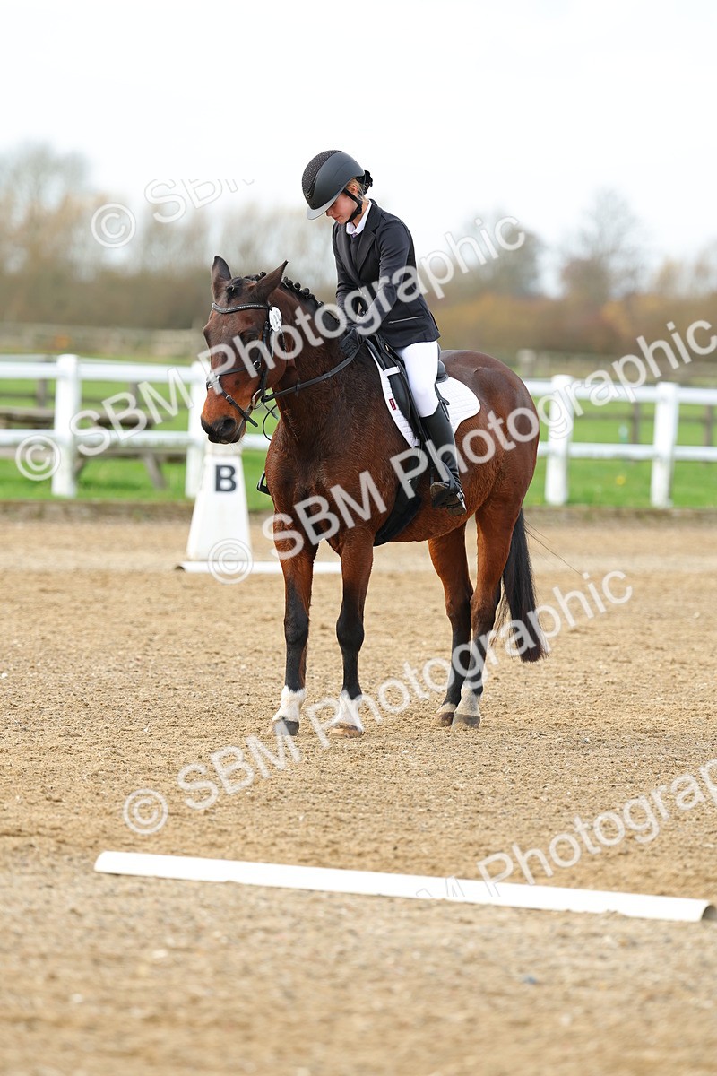 SBM_003607 - Class 6 - Novice 2